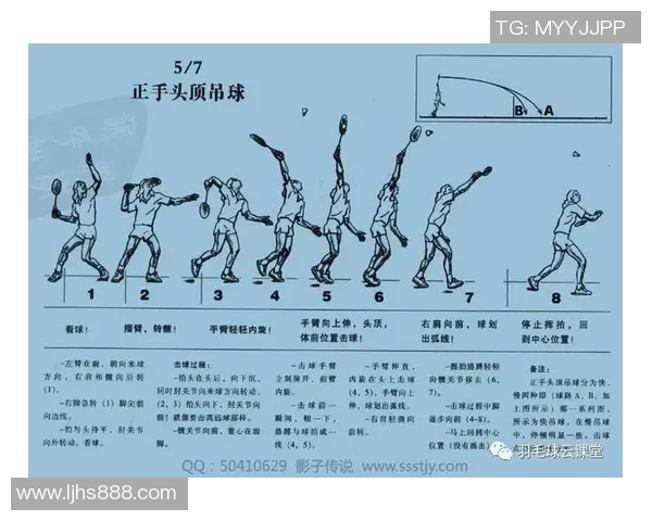 北京羽毛球队整体压制战术解析与实战应用研究 北京羽毛球队整体压制战术解析与实战应用研究