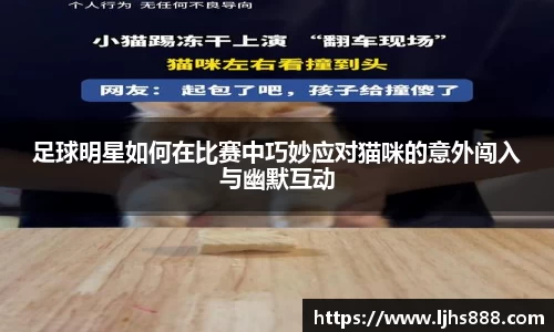 足球明星如何在比赛中巧妙应对猫咪的意外闯入与幽默互动