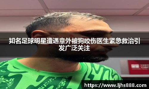 知名足球明星遭遇意外被狗咬伤医生紧急救治引发广泛关注